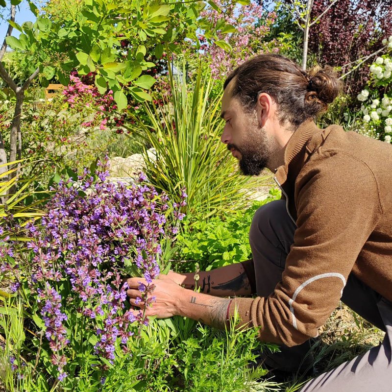 Florent Vituret au jardin, au contact des plantes